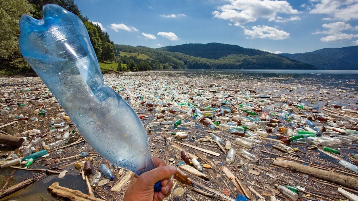Plastic pollution along a beach
