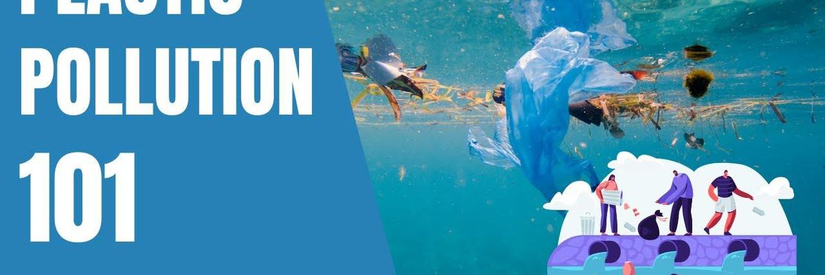 What is plastic pollution?