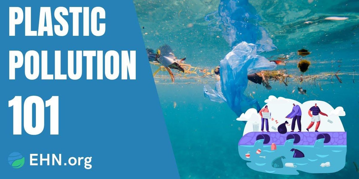 Library Pollution Plastic Bags Pollution Facts