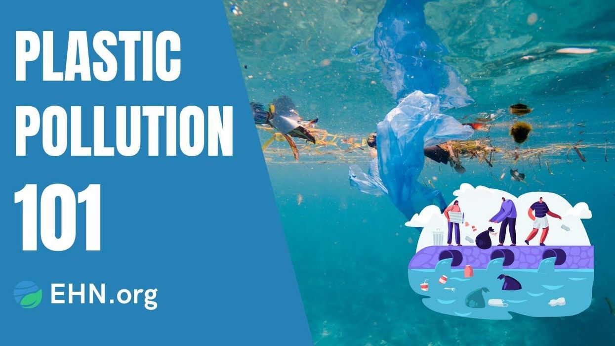 What is plastic pollution?