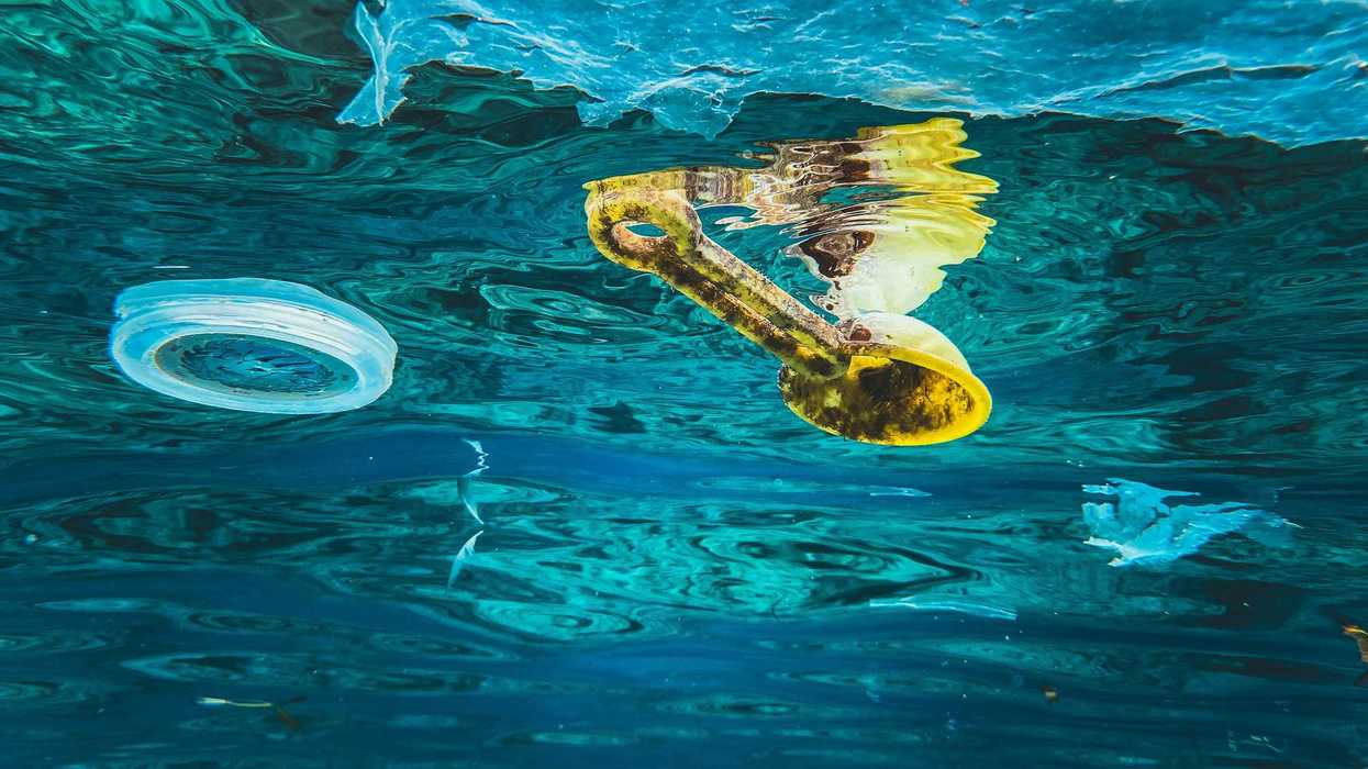 Plastic pollution floating just under the ocean surface.