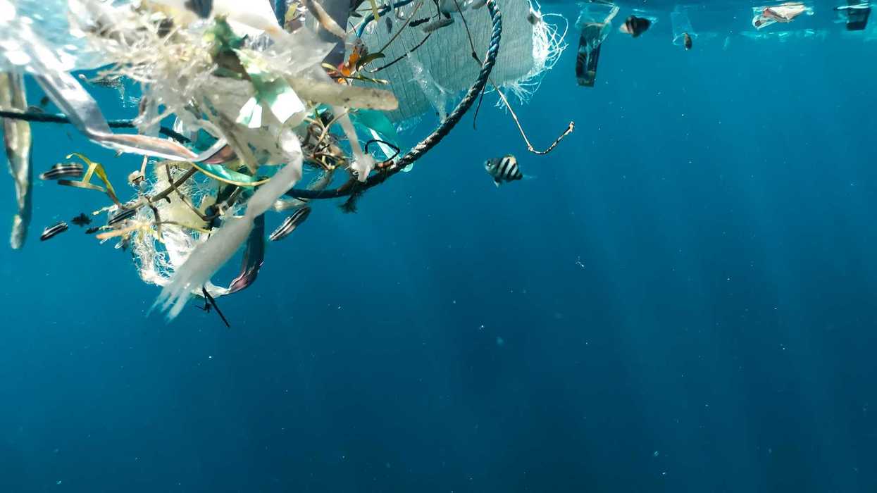 Plastic pollution in blue sea water during daytime.