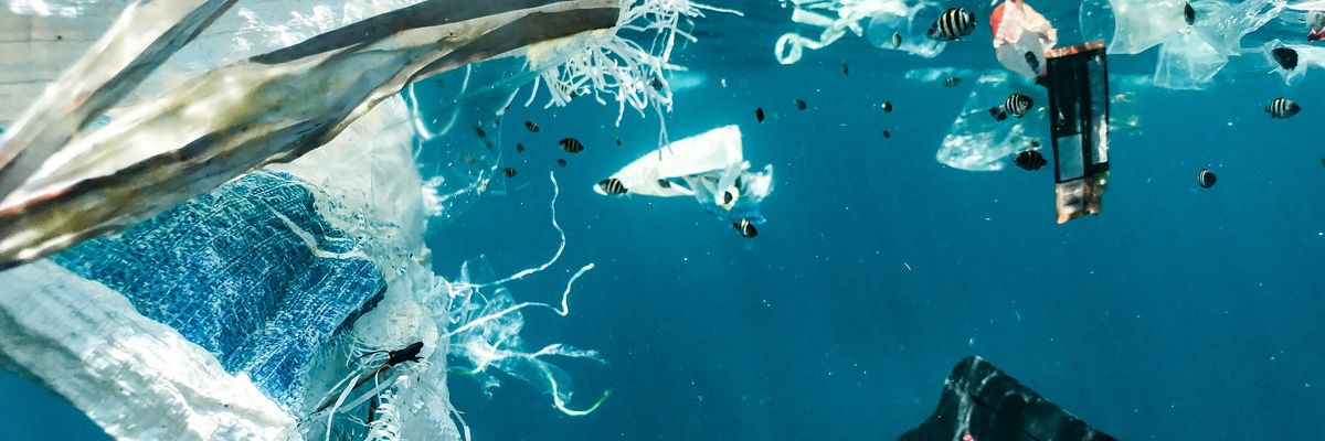 Plastic pollution in the ocean