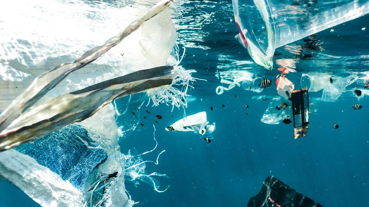 Plastic pollution in the ocean