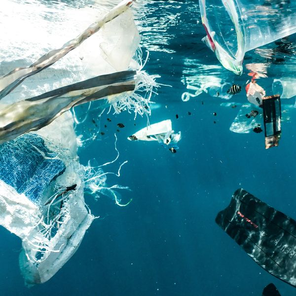 Plastic pollution in the ocean