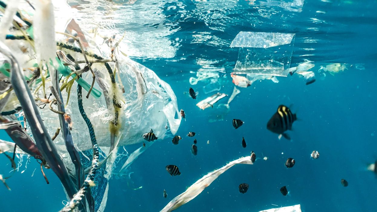 plastic pollution in water