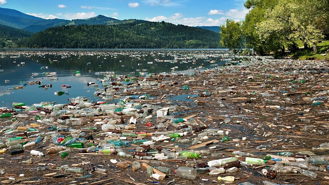 plastic pollution plastics treaty