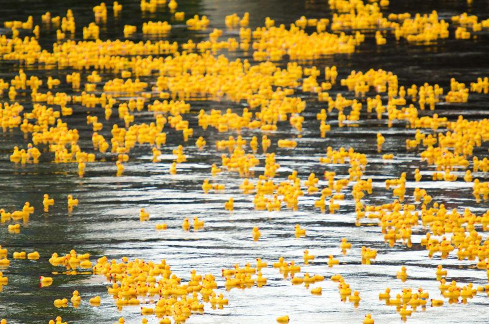 plastic pollution water