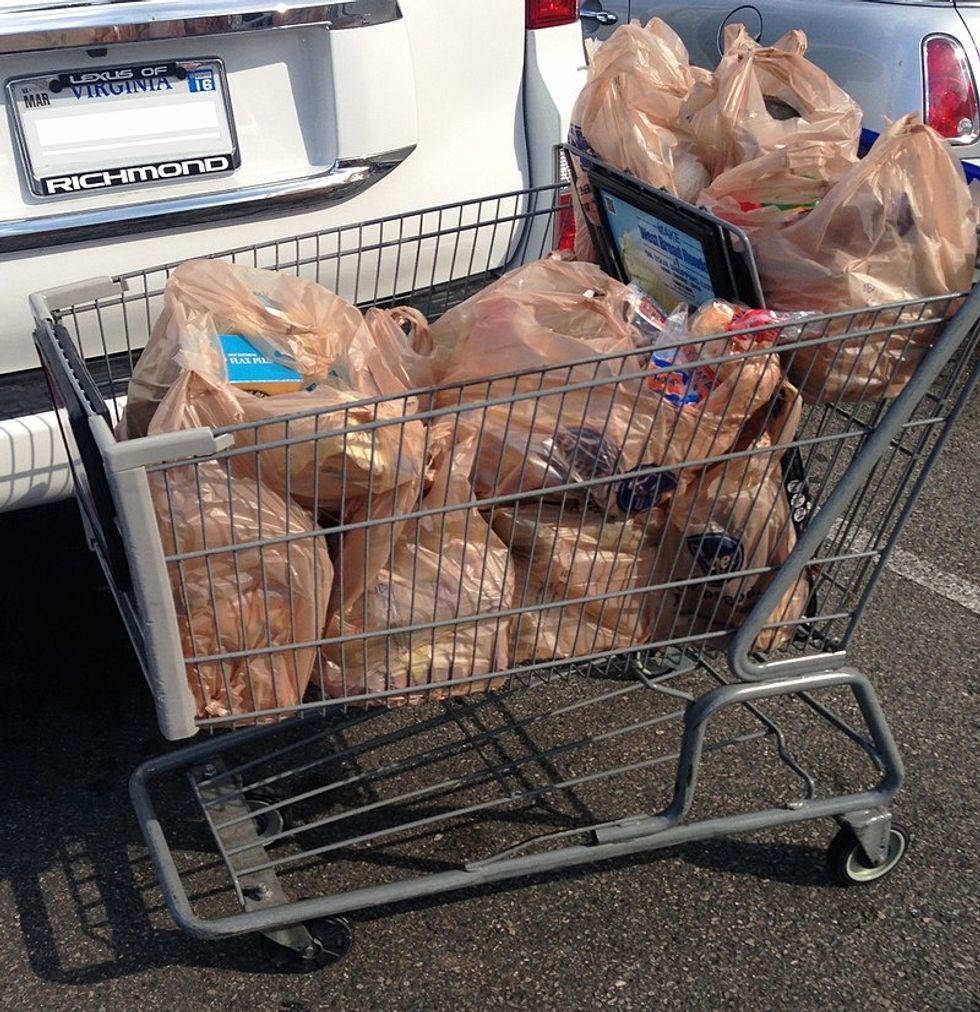 plastic shopping bags