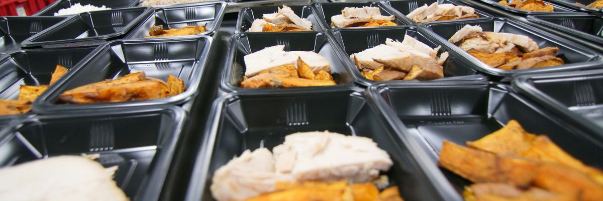 Plastic trays filled with processed foods