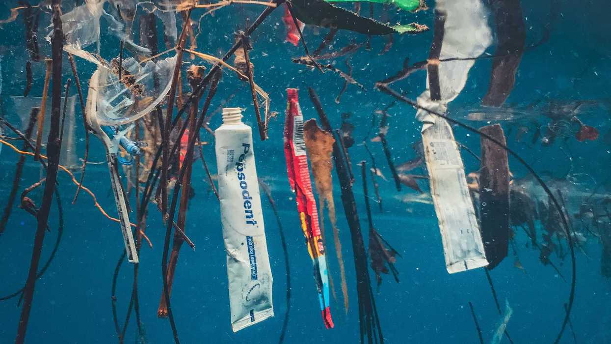 plastic waste including toothpaste tubes and wrappers floating in water.