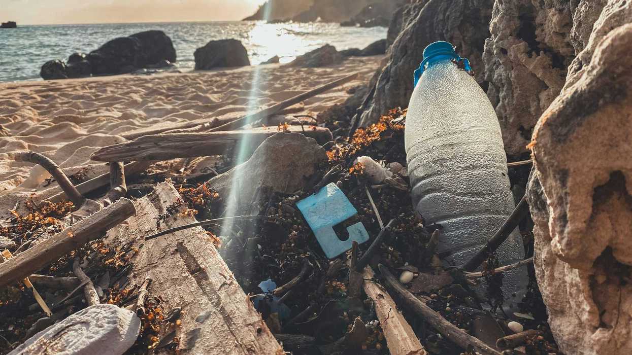 Plastic waste shining in the sun on a beach.