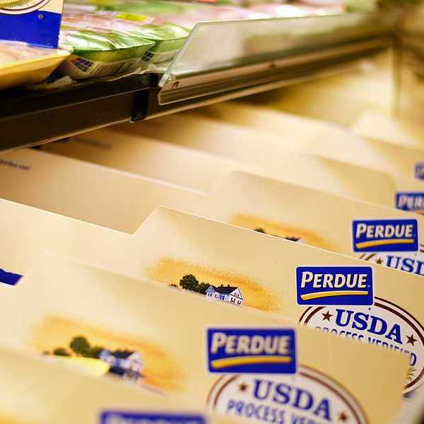 Plastic wrapped Perdue chicken products in a grocery store