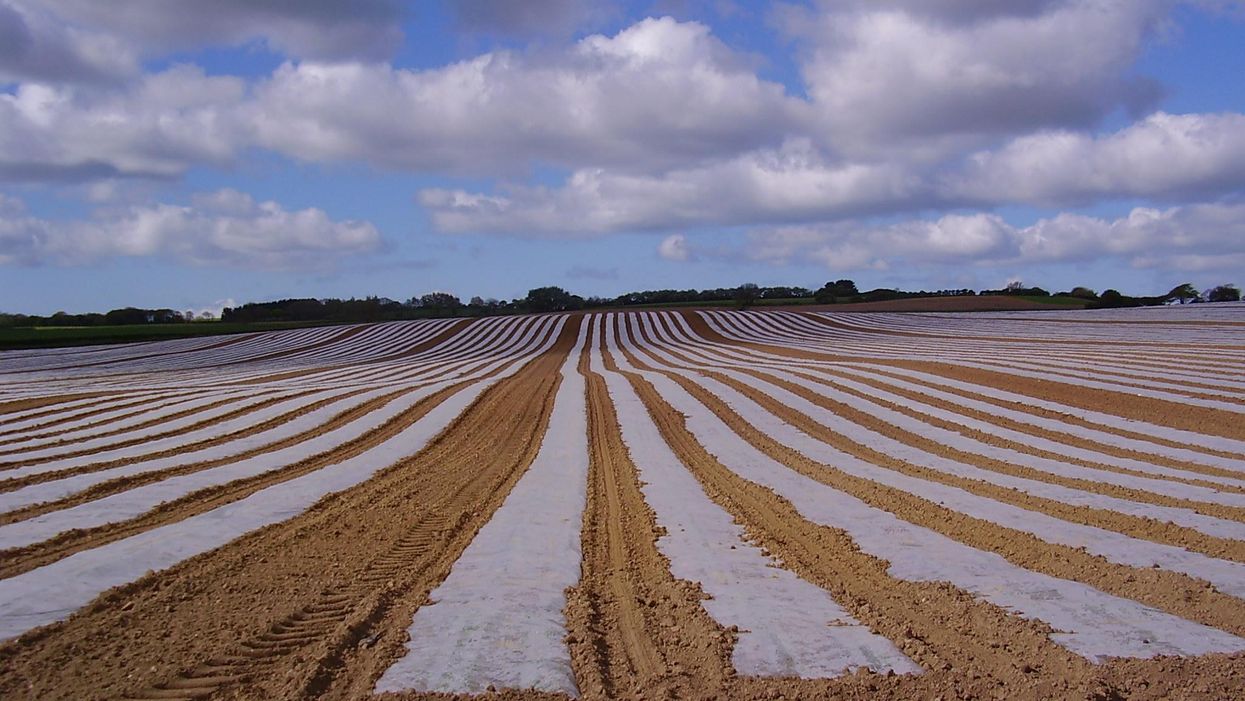 Ocean plastic is bad, but soil plastic pollution may be worse