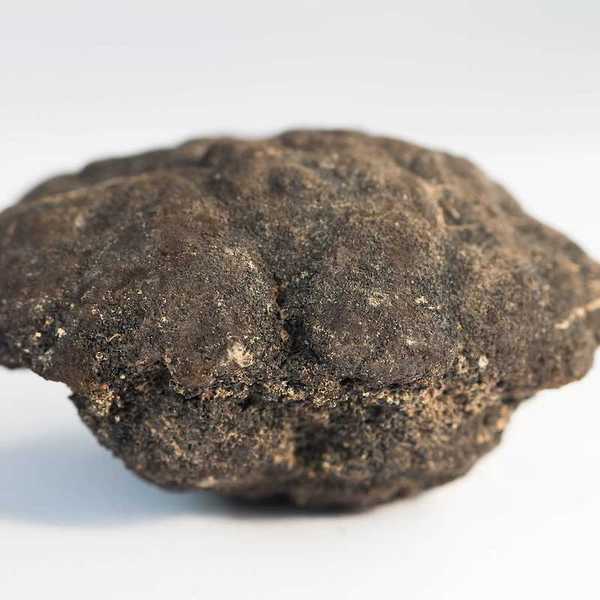 Polymetallic nodules from 5000m depth of Pacific ocean