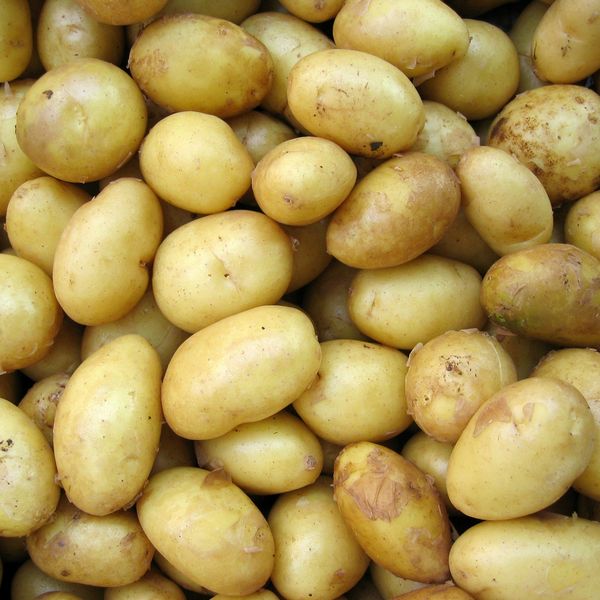 potatoes