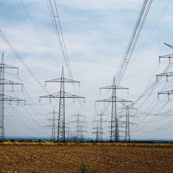 Power lines for electrical transmission