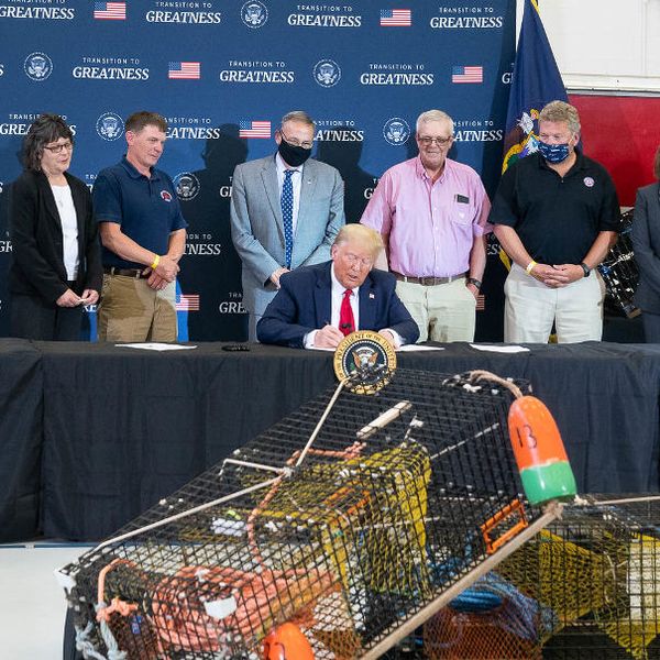 President Trump ocean environmental Maine