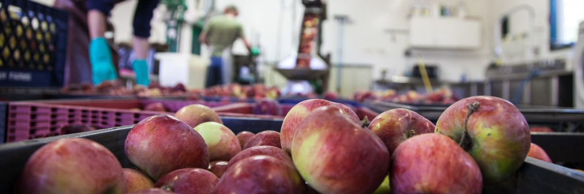 Our food system’s reckoning with nature is coming