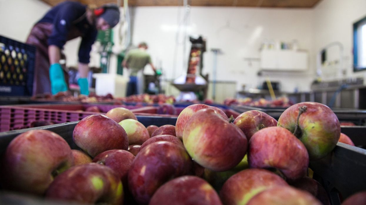 Our food system’s reckoning with nature is coming