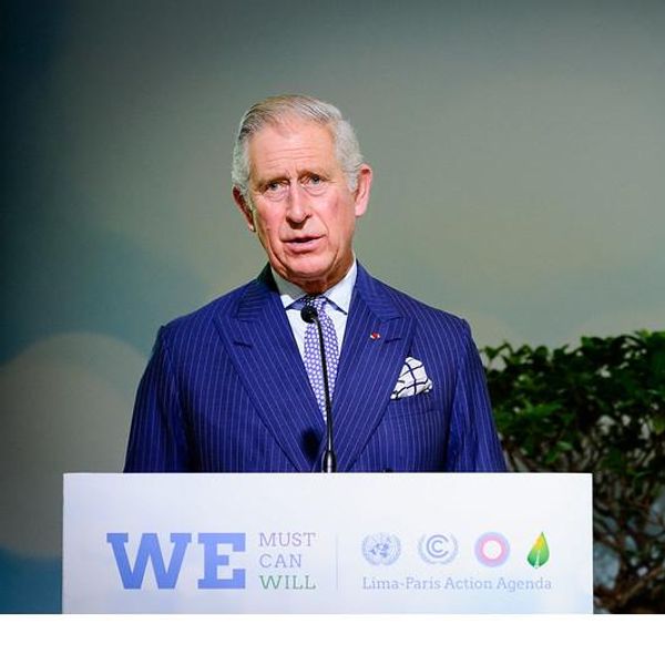 Prince Charles speaking at the 2015 United Nation Climate Change Conference - COP21 (Paris, Le Bourget)