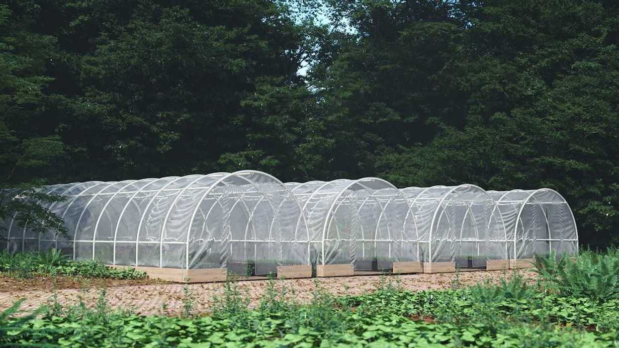 Protective quonset-shaped structures for climate-resilient outdoor gardening