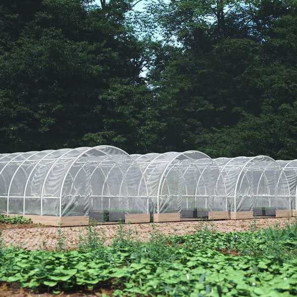 Protective quonset-shaped structures for climate-resilient outdoor gardening