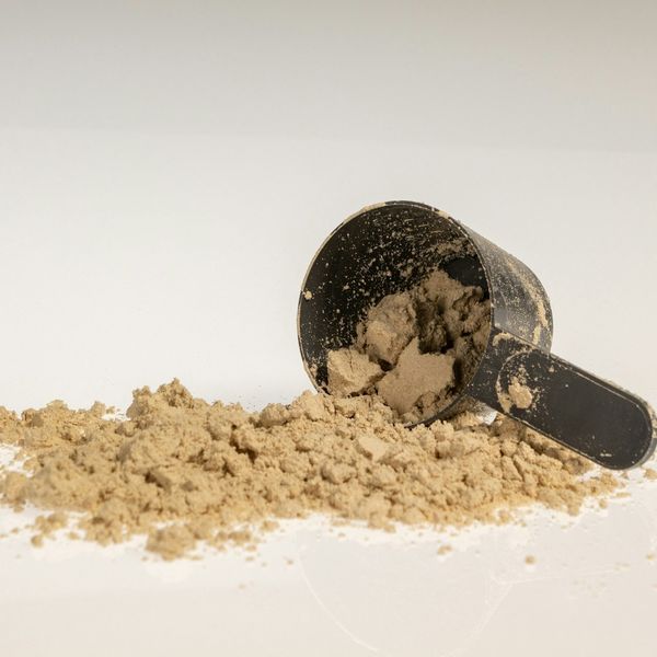 protein powder