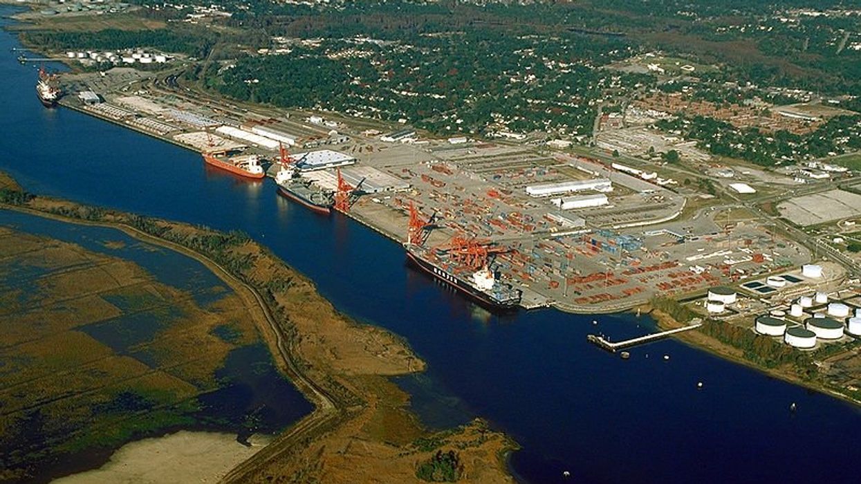 purifying PFAS-contaminated wetlands