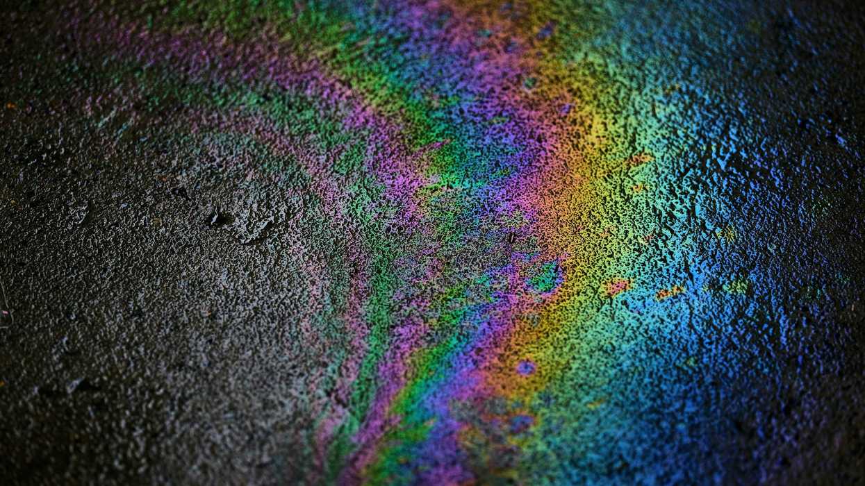 Rainbow oil sheen on dark surface.