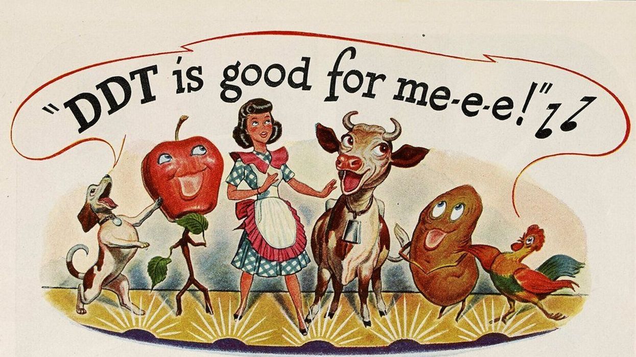 Raptors DDT contamination