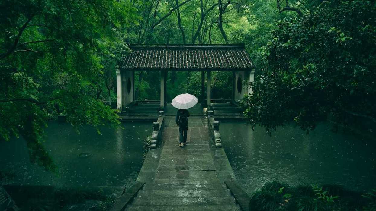 Rear-view of person walking on stone walkway in rain with white umbrella