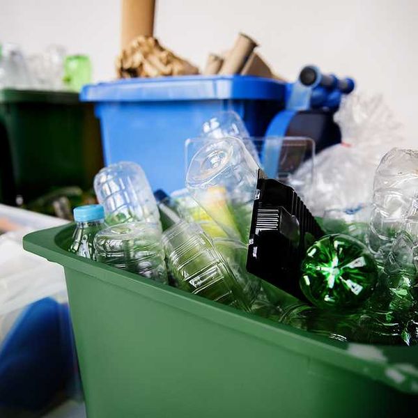 Recycling bins with plastic bottles