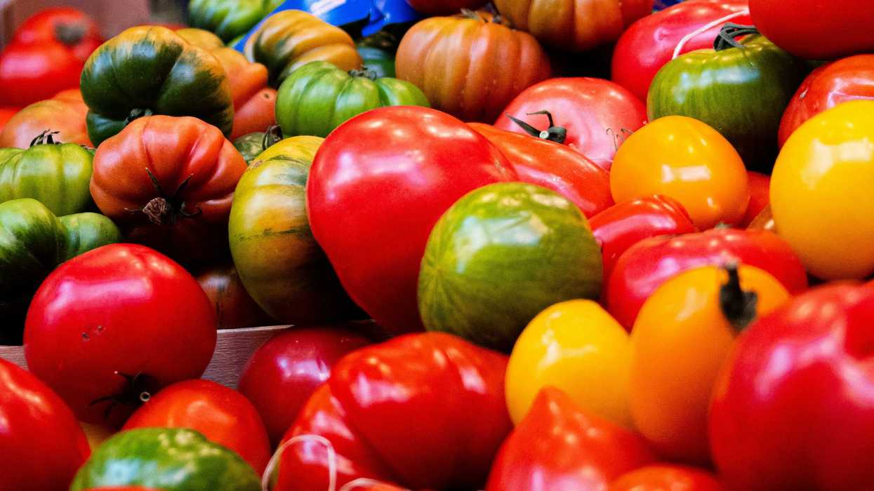 red and yellow bell peppers and tomatoes.