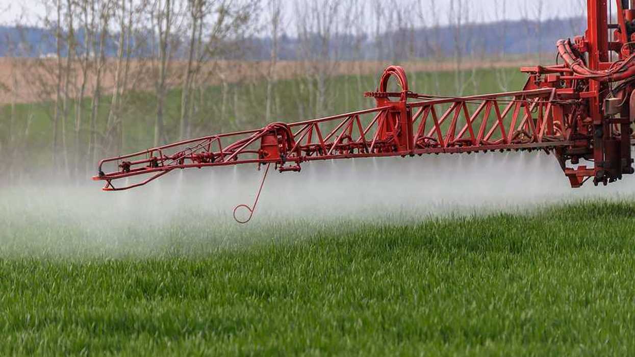 Red machine spraying herbicides on a green field