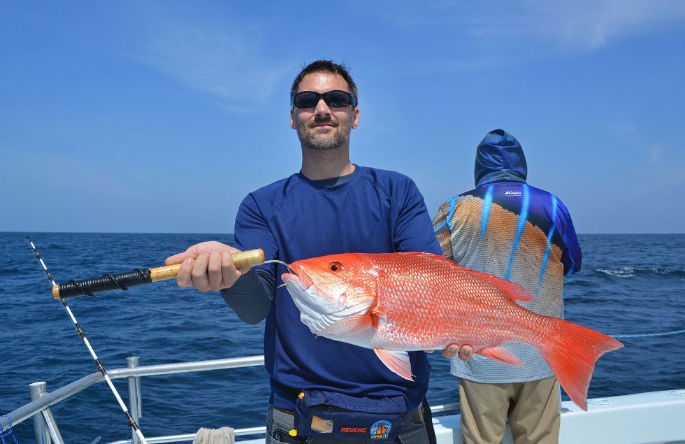 Red snapper fish