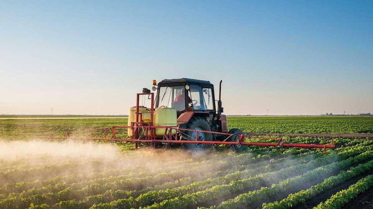 Red tractor mounted with equipment spraying herbicides onto row crops
