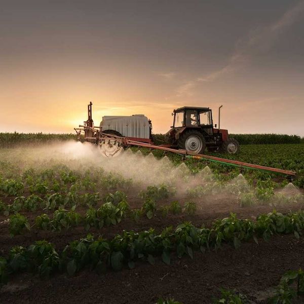 Breakdown product of pesticides and refrigerants may be classed as reproductive toxicant by the European Union
