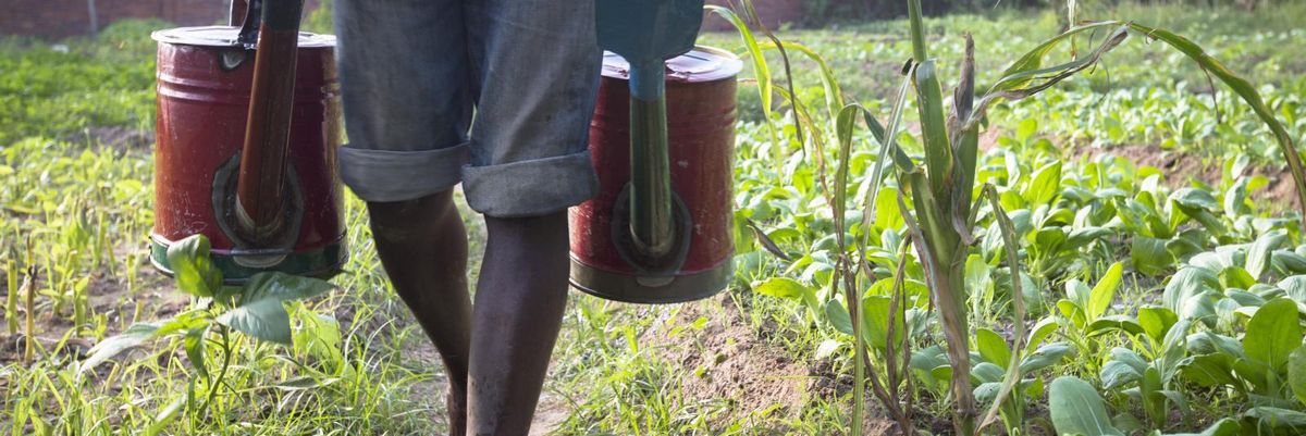 regenerative agriculture