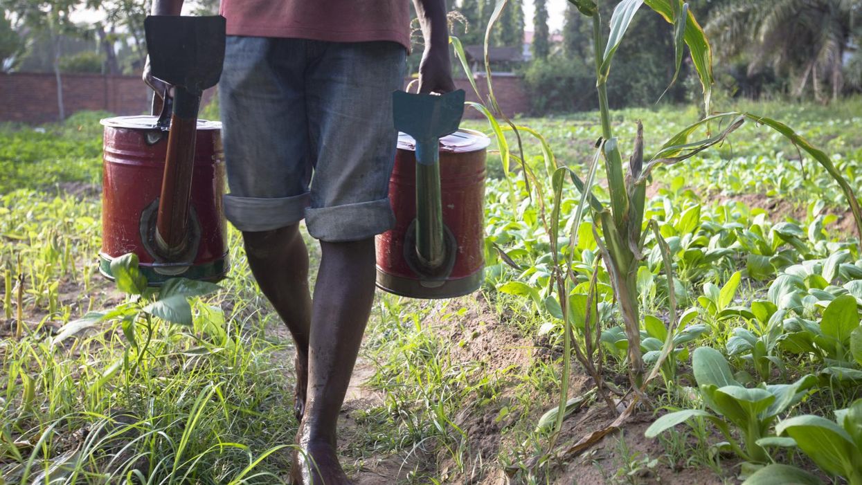 regenerative agriculture