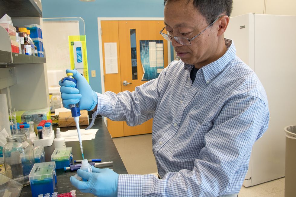 Researcher pipets scientific sample