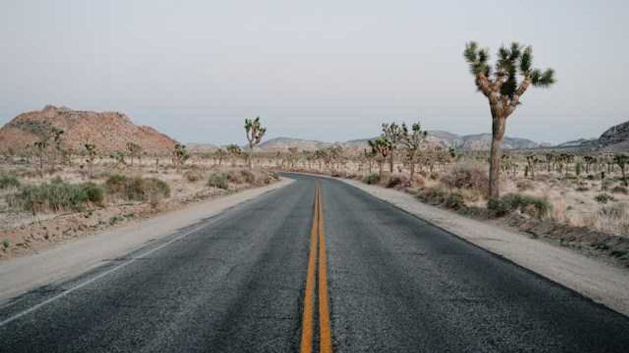 Road through Joshua Tree national park with desert environment on each side
