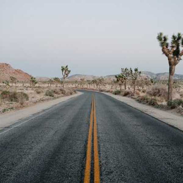 Road through Joshua Tree national park with desert environment on each side