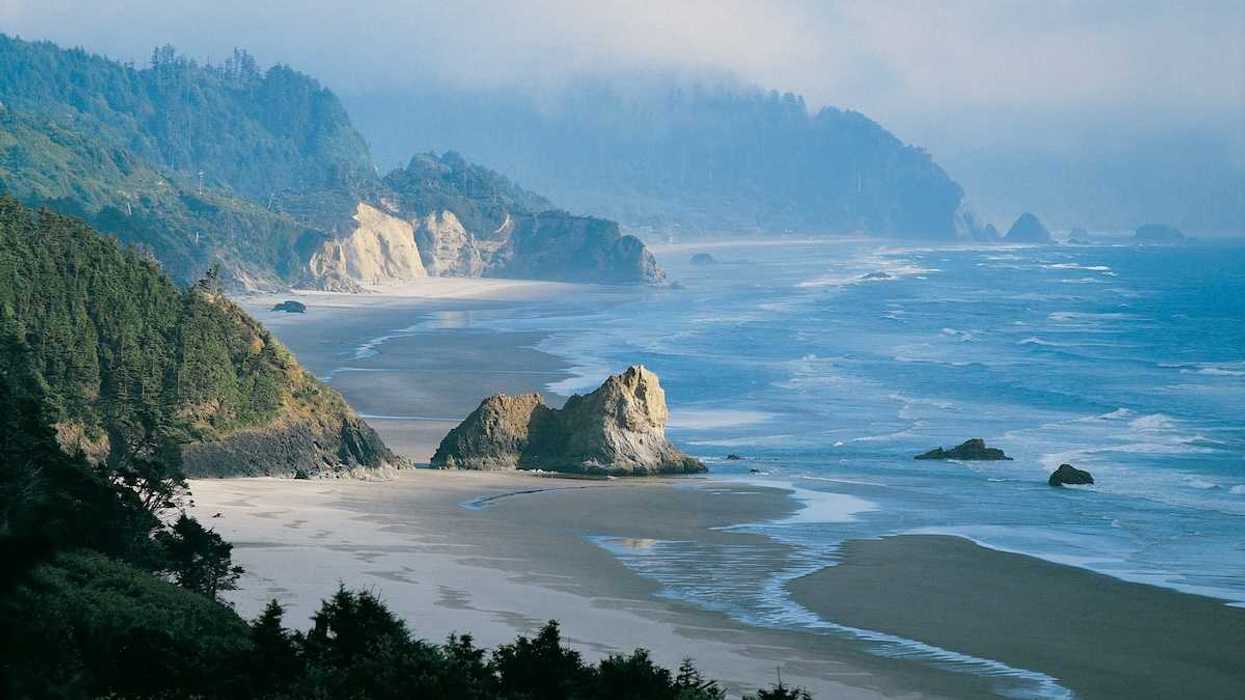Rocky hilly tree-covered coastline with tide partially in standing against a frothy surf