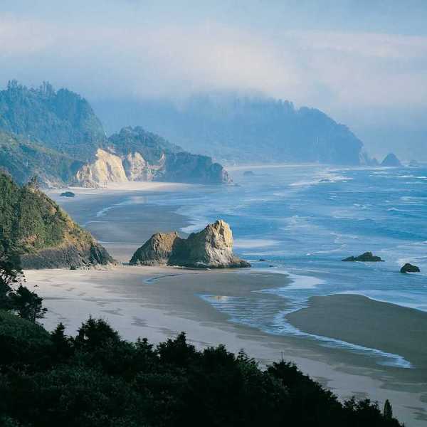 Rocky hilly tree-covered coastline with tide partially in standing against a frothy surf