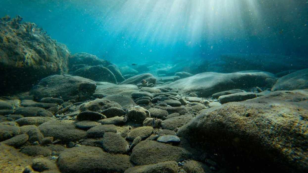 Rocky ocean floor with light coming from above.