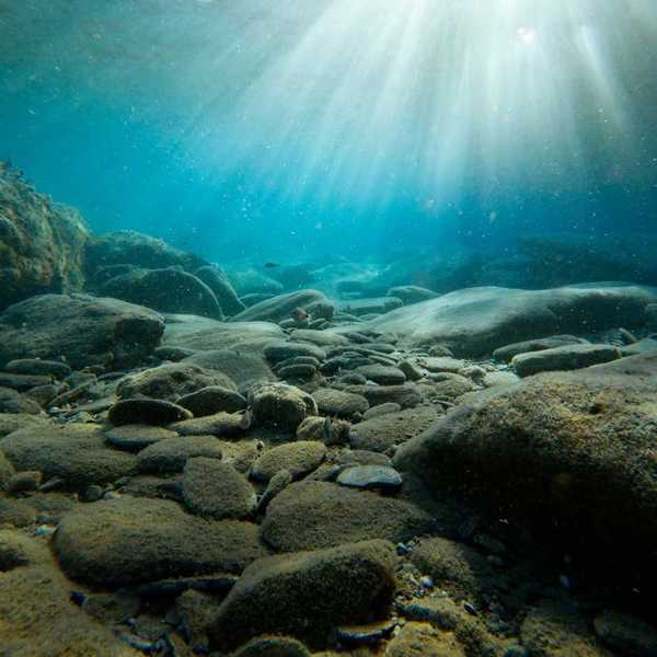 Rocky ocean floor with light coming from above.