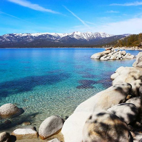 Brewing battle over US Forest Service glyphosate spraying near Lake Tahoe's pristine waters