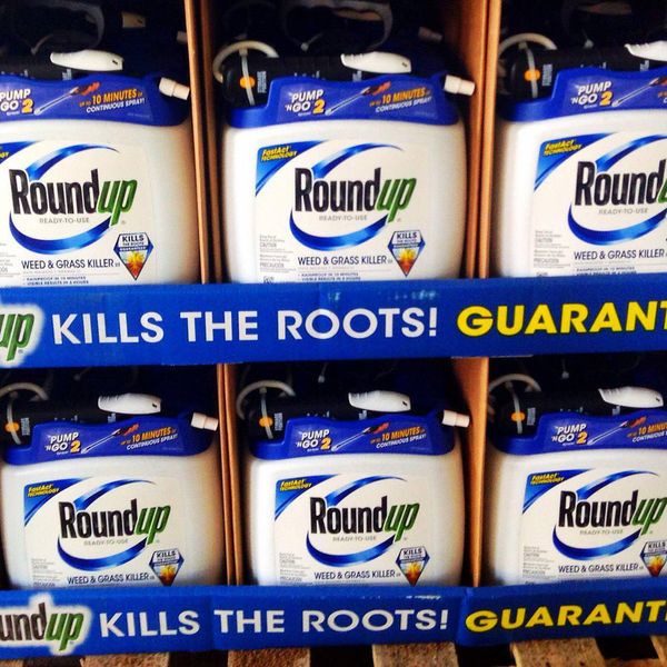 Roundup glyphosate herbicide