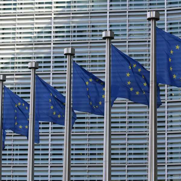 row of blue european union flags with yellow stars.